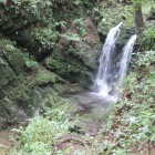 悲劇の御主殿の滝