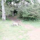 笹郭
