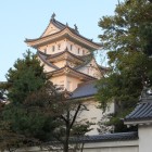 夕陽に映える大垣城天守