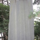 前橋城碑文石碑