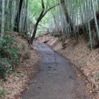 登城路と土塁