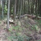 大手門横北の二重土塁二重堀