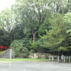 左手本丸登城口と本丸の樹林