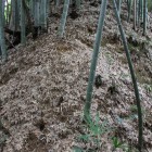 登り土塁