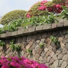 虎口枡形前部に在る武者返し石垣