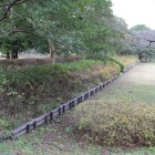 曲輪の段差、土塁