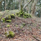 主郭の石塁