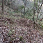 西の丸西側にある畝状竪掘群