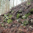 北の郭石垣