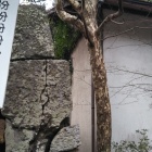 地震でずれた石垣