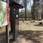本丸跡