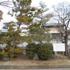 鎧掛けの松