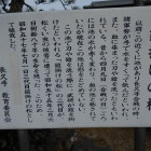 鎧掛けの松説明