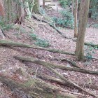 9合目の曲輪と土塁