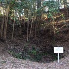 葵の井戸と土塁