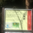 縄張り