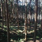 西城北側の五重の濠
