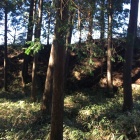 西城と東城をつなぐ