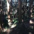 東城本曲輪