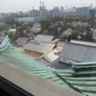 本丸御殿と東南隅櫓