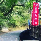 クロネコは頭がいいんですよ