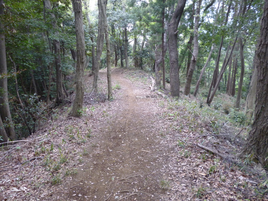 小野路城 城びと