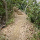 道中はずっとこんななだらかな登り坂
