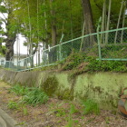 恐らく城址公園の方が主郭に近いと思われ