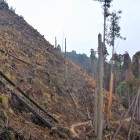 周山城址と登城路　山肌の傾斜が凄まじい