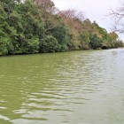 北側堀跡（東側）