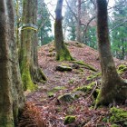 主郭北虎口（北側より）