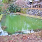 南側堀跡（万祥池）（東側）