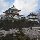 天守と隅櫓、石垣を入れて