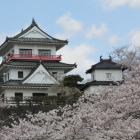 桜に浮かぶ天守と隅櫓