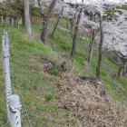 二の丸北面城塁、切岸