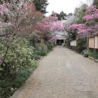 本丸内部、涌谷神社