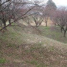 中の丸展望台より土塁を望む