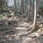 虎口、土塁