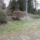 本丸西側の土塁