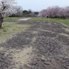 政庁内石畳道