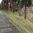 本丸東側の堀と土塁、城塁