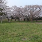 政庁東側の築地塀跡