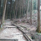 登城道の土塁にたてられた旗と竹柵