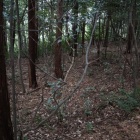 侍屋敷跡