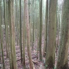 大手跡そばの大堀切