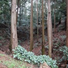 本丸横堀