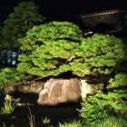 武家屋敷の庭園