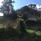 持船城全景