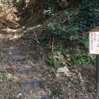 登山道