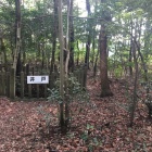 本丸内の井戸